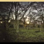 572035312_1263865355759170_1684370560776133078_n